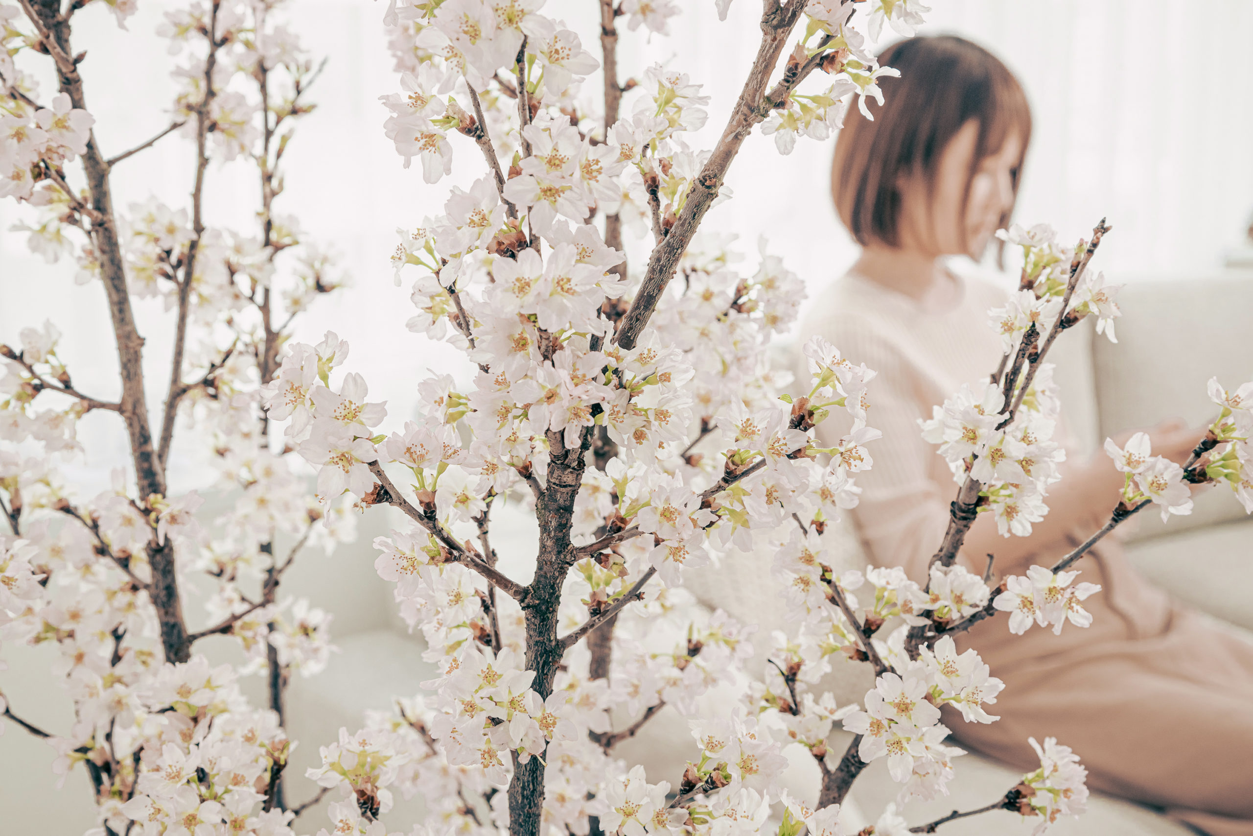 TRINUS（トリナス）が、「お家でお花見」を無償でご用意 「桜配りプロジェクト」をスタート！！